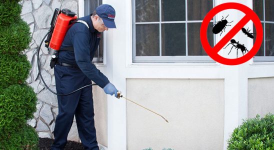 Basınsitesi Akrep İlaçlama böcek ilaçlama ve haşere kontrolü — ilaclama-tr.com